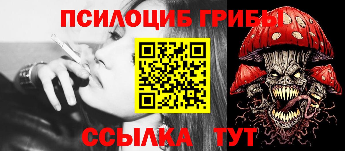 купить наркоту  Псилоцибиновые грибы GOLDEN TEACHER  Псилоцибиновые грибы GOLDEN TEACHER  Вход с VPN  Нижний Новгород 